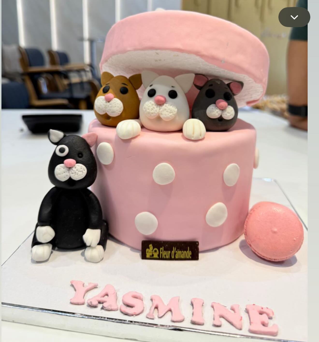 Gâteau Anniversaire